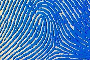 fingerprint-scanner-1